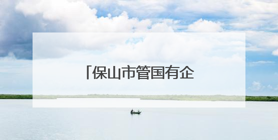 保山市管国有企业专职外部董事刘燕接受监察调查