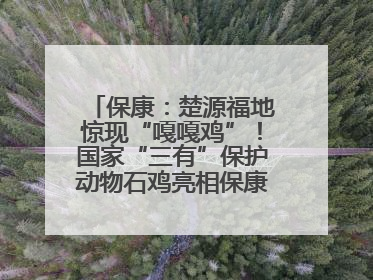 保康：楚源福地惊现“嘎嘎鸡”！国家“三有”保护动物石鸡亮相保康沿河公园