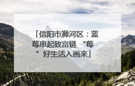 信阳市浉河区：蓝莓串起致富链 “莓”好生活入画来