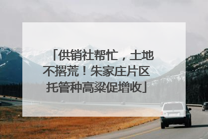 供销社帮忙，土地不撂荒！朱家庄片区托管种高粱促增收