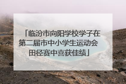 临汾市向阳学校学子在第二届市中小学生运动会田径赛中喜获佳绩
