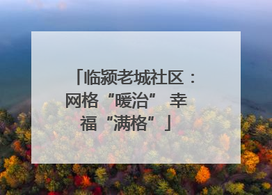 临颍老城社区：网格“暖治” 幸福“满格”