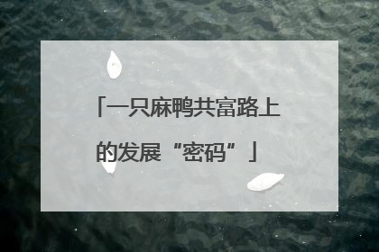 一只麻鸭共富路上的发展“密码”