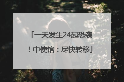 一天发生24起恐袭！中使馆：尽快转移
