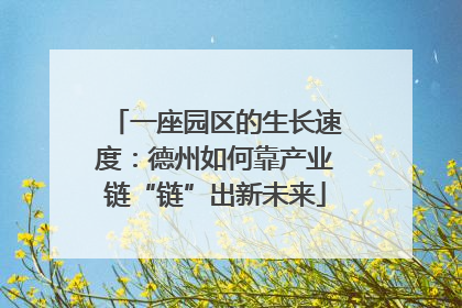 一座园区的生长速度：德州如何靠产业链“链”出新未来