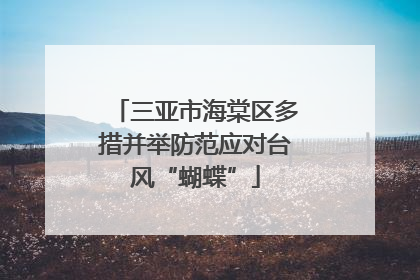 三亚市海棠区多措并举防范应对台风“蝴蝶”