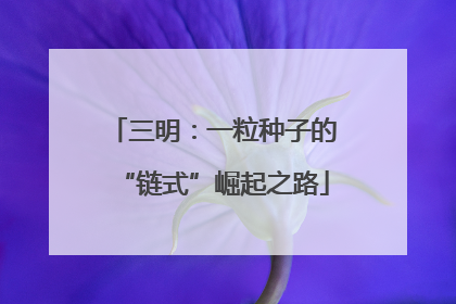 三明：一粒种子的“链式”崛起之路