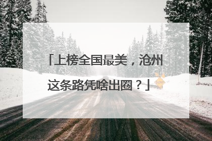上榜全国最美，沧州这条路凭啥出圈？