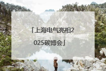 上海电气亮相2025碳博会