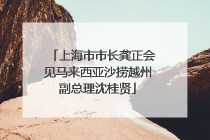 上海市市长龚正会见马来西亚沙捞越州副总理沈桂贤