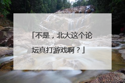 不是，北大这个论坛真打游戏啊？