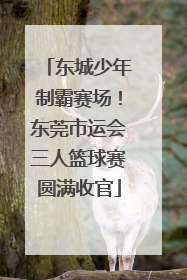 东城少年制霸赛场！东莞市运会三人篮球赛圆满收官