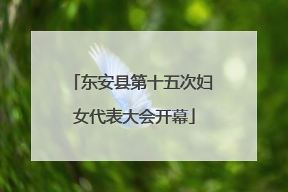 东安县第十五次妇女代表大会开幕