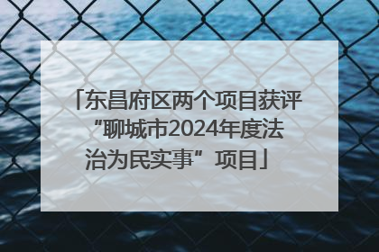 东昌府区两个项目获评“聊城市2024年度法治为民实事”项目