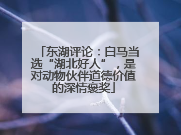 东湖评论：白马当选“湖北好人”，是对动物伙伴道德价值的深情褒奖