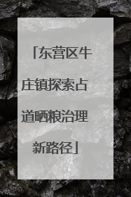 东营区牛庄镇探索占道晒粮治理新路径