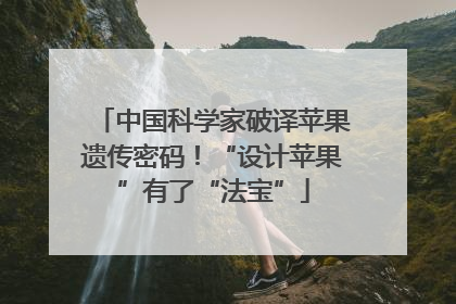 中国科学家破译苹果遗传密码！“设计苹果”有了“法宝”