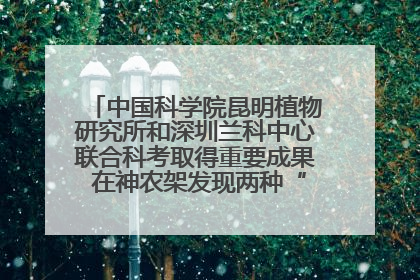 中国科学院昆明植物研究所和深圳兰科中心联合科考取得重要成果 在神农架发现两种“国保”级兰花