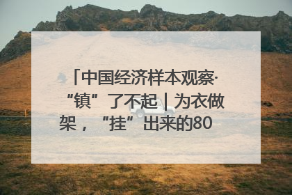 中国经济样本观察·“镇”了不起｜为衣做架，“挂”出来的80亿元“衣架产业”