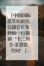 中国国际茶文化研究会副会长张仲灿一行调研“十二月令·非遗茶空间”