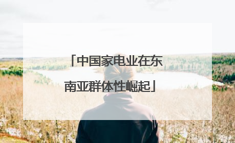 中国家电业在东南亚群体性崛起