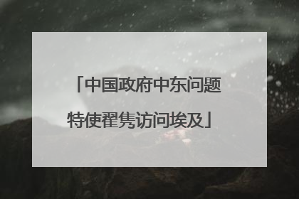 中国政府中东问题特使翟隽访问埃及
