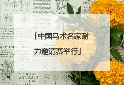 中国马术名家耐力邀请赛举行