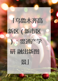 乌鲁木齐高新区（新市区）：贯通产学研 融出新图景