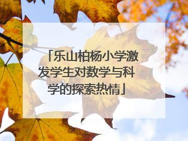 乐山柏杨小学激发学生对数学与科学的探索热情