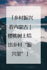 乡村振兴看内蒙古｜樱桃树上结出乡村“振兴果”