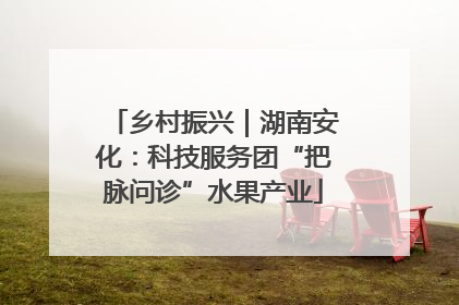 乡村振兴｜湖南安化：科技服务团“把脉问诊”水果产业