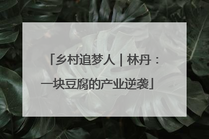 乡村追梦人｜林丹：一块豆腐的产业逆袭