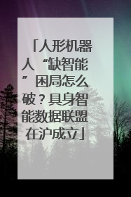 人形机器人“缺智能”困局怎么破？具身智能数据联盟在沪成立