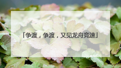 争渡，争渡，又见龙舟竞速