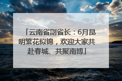 云南省副省长：6月昆明繁花似锦，欢迎大家共赴春城、共聚南博