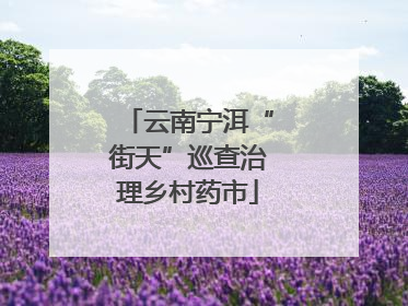 云南宁洱“街天”巡查治理乡村药市