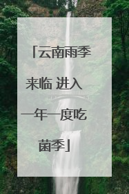 云南雨季来临 进入一年一度吃菌季