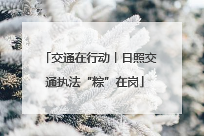 交通在行动丨日照交通执法“粽”在岗