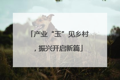 产业“玉”见乡村，振兴开启新篇