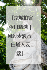 京城拍客今日精选｜风过麦浪香 白塔入云端