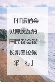 任振鹤会见博茨瓦纳国民议会议长凯奥拉佩采一行