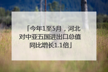 今年1至5月，河北对中亚五国进出口总值同比增长1.1倍