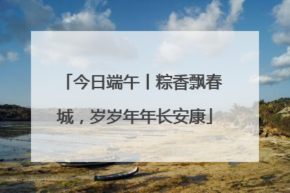 今日端午丨粽香飘春城，岁岁年年长安康