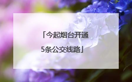 今起烟台开通5条公交线路