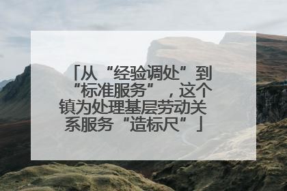 从“经验调处”到“标准服务”，这个镇为处理基层劳动关系服务“造标尺”