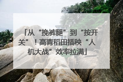 从“挽裤腿”到“按开关”！高青稻田插秧“人机大战”效率拉满