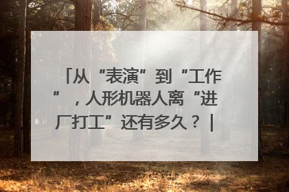从“表演”到“工作”，人形机器人离“进厂打工”还有多久？｜机器人商业新纪元