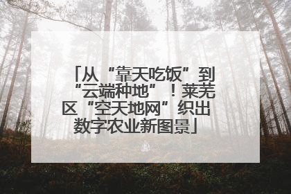 从“靠天吃饭”到“云端种地”！莱芜区“空天地网”织出数字农业新图景