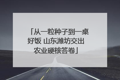 从一粒种子到一桌好饭 山东潍坊交出农业硬核答卷