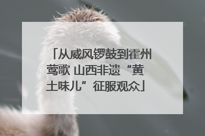 从威风锣鼓到霍州莺歌 山西非遗“黄土味儿”征服观众